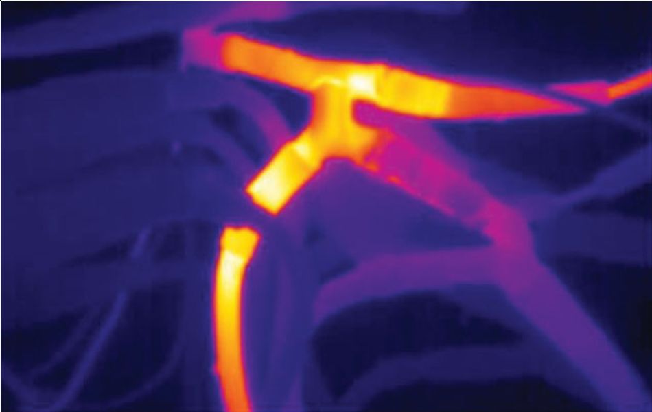 Integrated Visual and Infrared Cameras